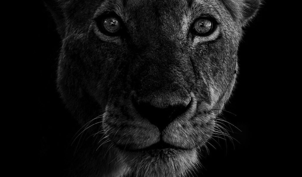 -6048440574685591865_121