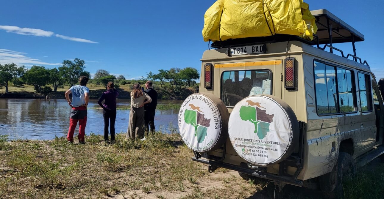 How to Stay Safe on Safari: Essential Tips for First-Time Travelers