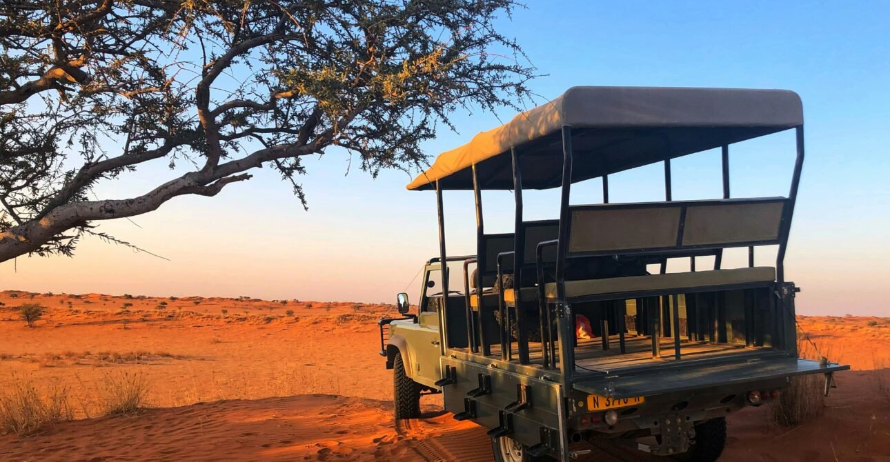How to Make the Most of Your African Safari